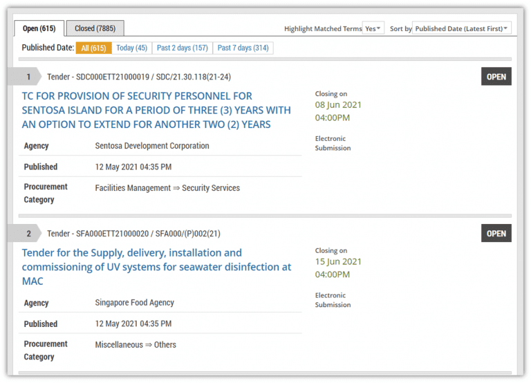 What are public (government) tenders and how do they work