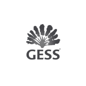 GESS