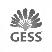 Gess bw